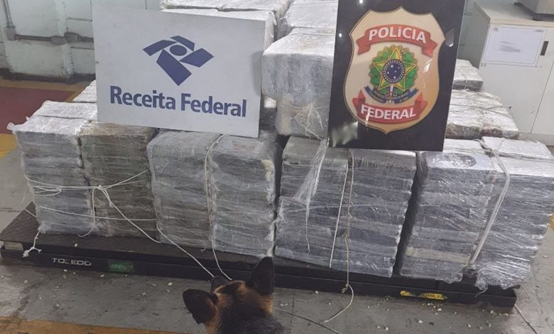 policia-federal-realiza-acao-contra-o-trafico-internacional-de-drogas-pelo-porto-de-santos
