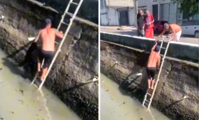homem-usa-escada-para-resgatar-cachorro-assustado-que-caiu-em-canal-no-litoral-de-sp:-‘calma,-bebe’;-video