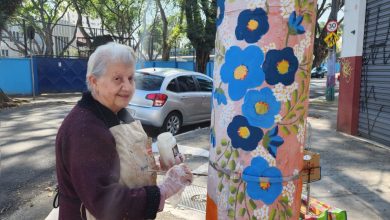 aposentada-faz-pinturas-em-postes-e-colore-bairro-de-sao-paulo:-‘objetivo-e-incentivar-as-pessoas-a-fazerem-coisas-boas’