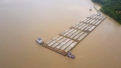 video-mostra-comboio-de-30-barcacas-carregadas-de-soja-cruzando-o-rio-madeira