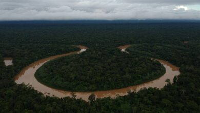 sistema-de-monitoramento-da-funai-protege-terras-indigenas-da-amazonia