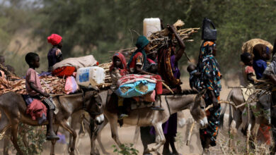 un-security-council-concerned-over-ethnically-based-killings-in-sudan’s-north-darfur